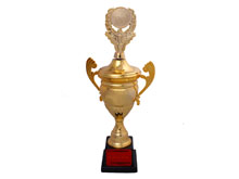 CIMC Quality Project Award